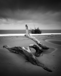 A black and white image of driftwood on a desolate beach.