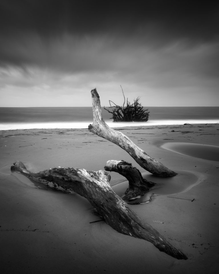 A black and white image of driftwood on a desolate beach.